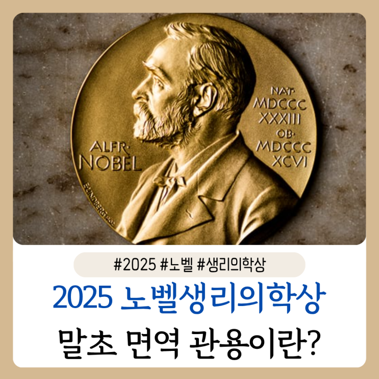 2025 <b>노벨생리의학상</b> 메리... 사카구치 시몬 말초 <b>면역관용</b> 뜻