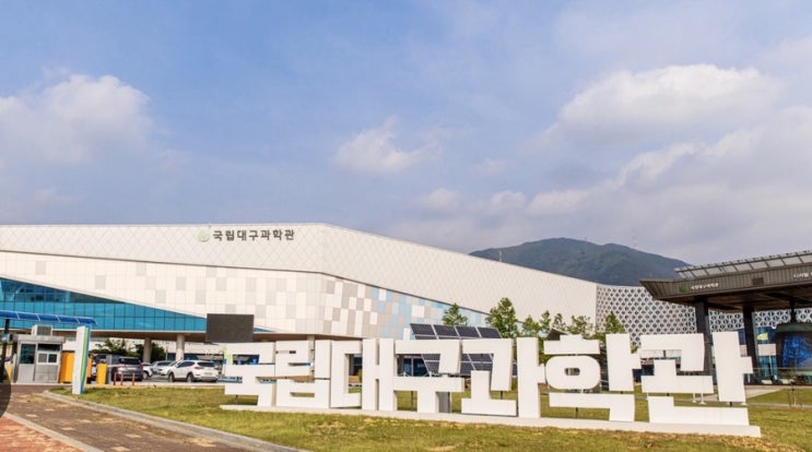 비 오는 날, 아이랑 함께, 주차 스트레스 없이 즐길 수 있는 대구 여행지 10곳