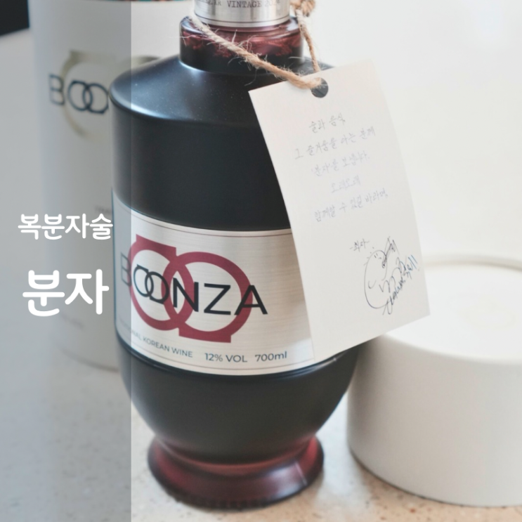 최자 복분자주 분자 술 복분자 효능 도수