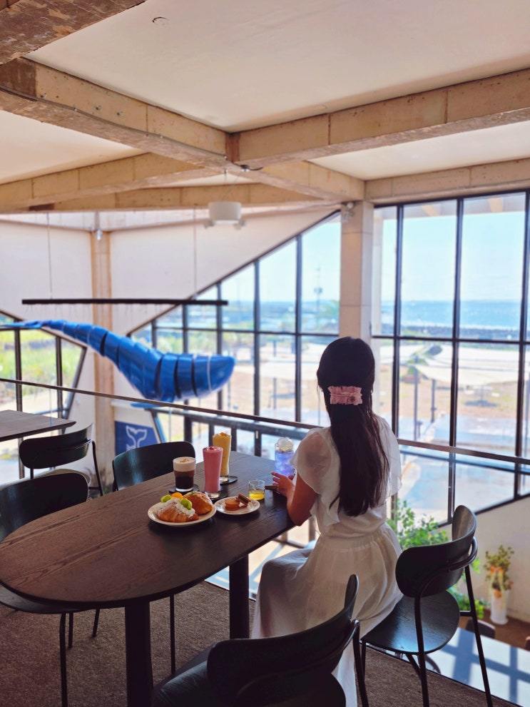  제주 서쪽 신상 카페 제주도 돌고래 스팟 대정 블루웨일