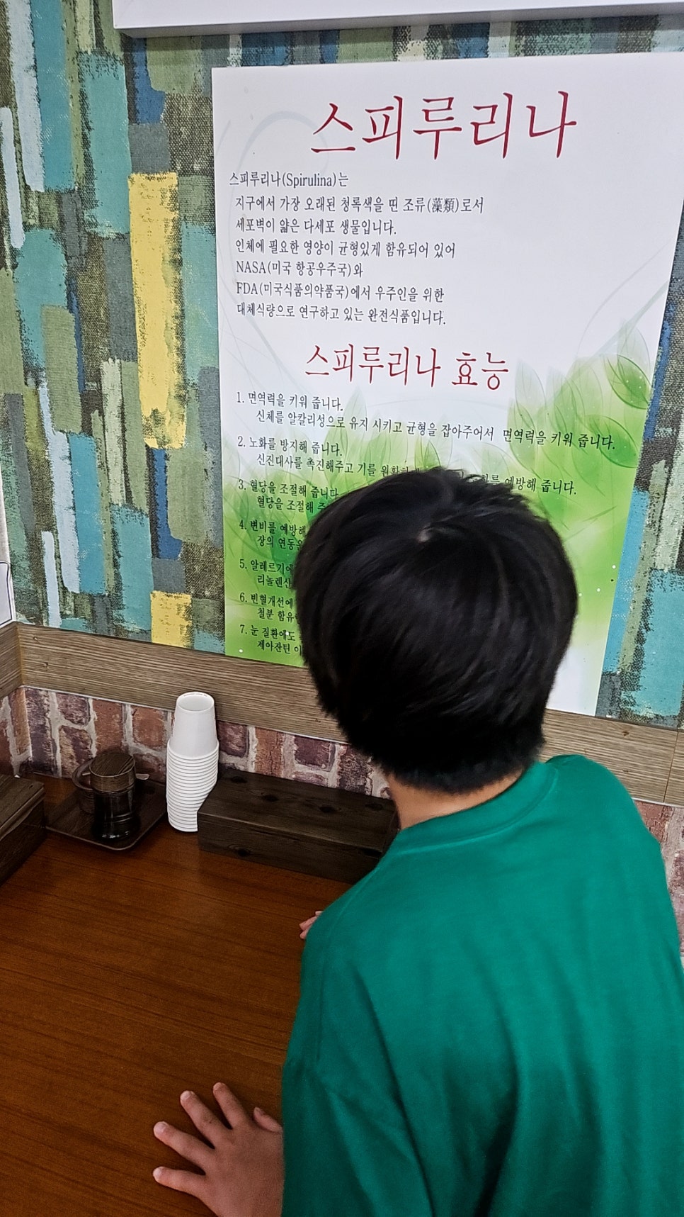 양지각 사진 6