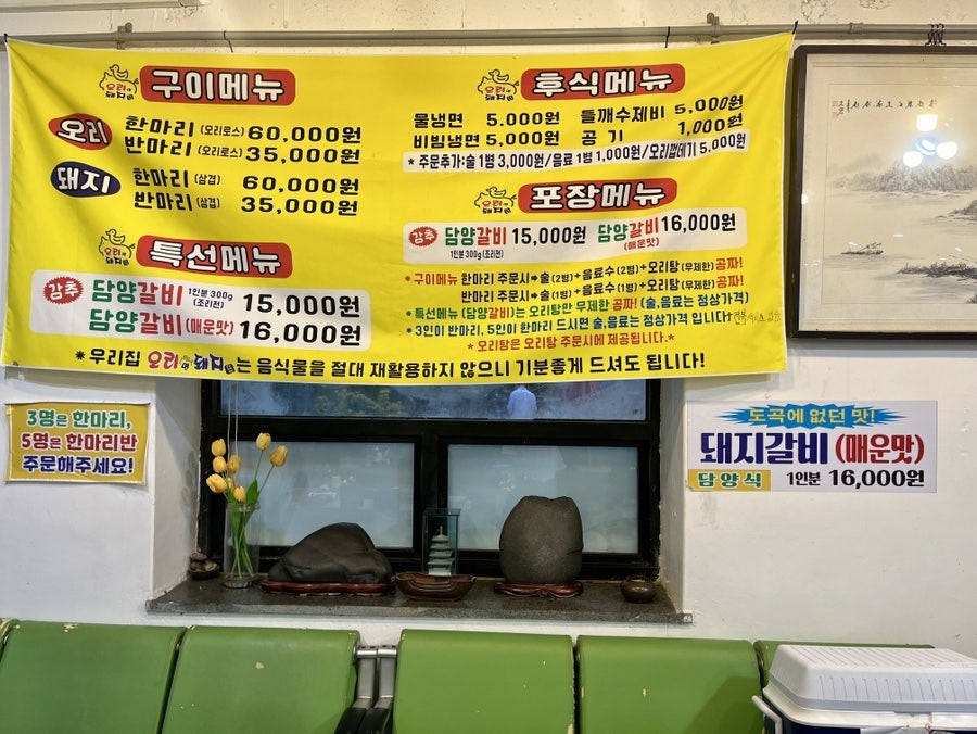 오리면돼지 사진 2