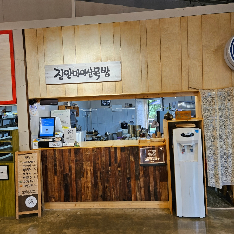 너도바람꽃 사진 8