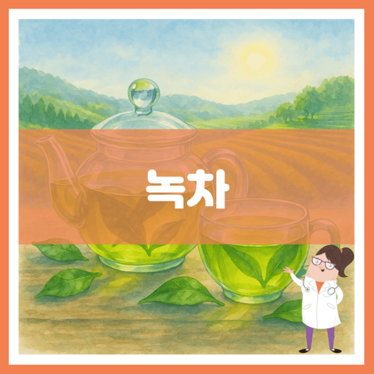  녹차 효능 부작용 고르는 방법