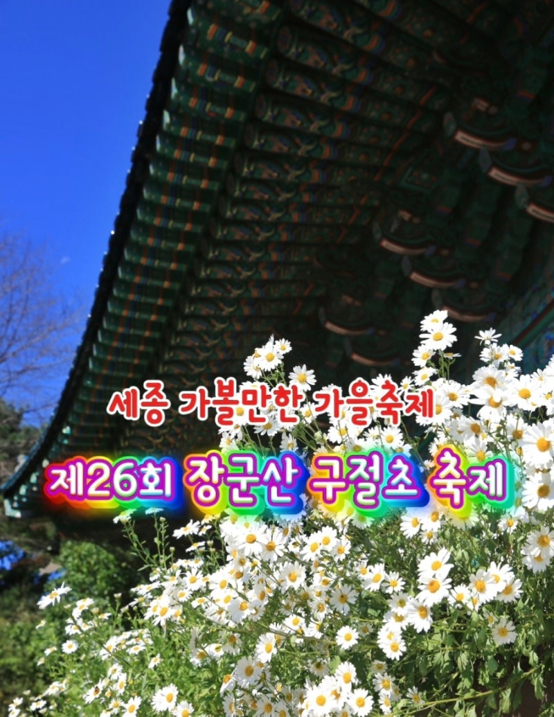 충남 가볼만한 가을축제 세종 영평사 장군산 구절초 축제