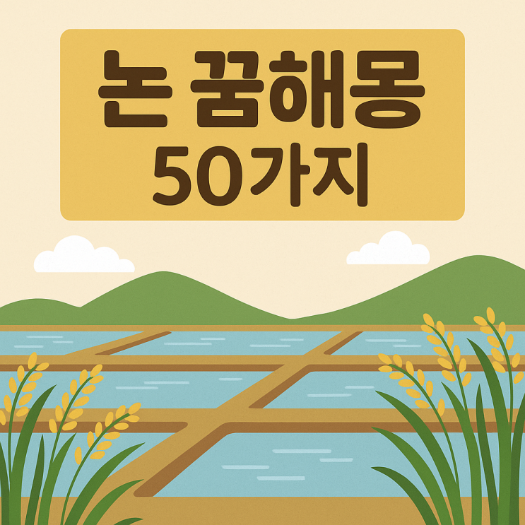  논 꿈해몽