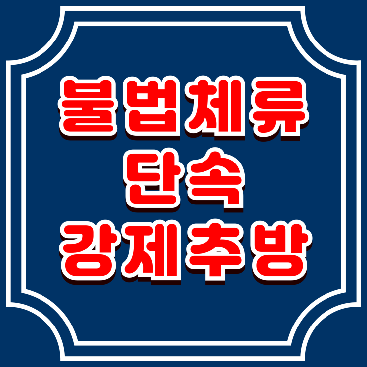  불법체류자 합동 단속 강제추방 2025년 2차(법무부)