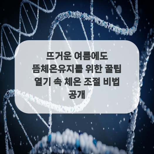  뜨거운 여름에도 뜸체온유지를 위한 꿀팁 열기 속 체온 조절 비법 공개
