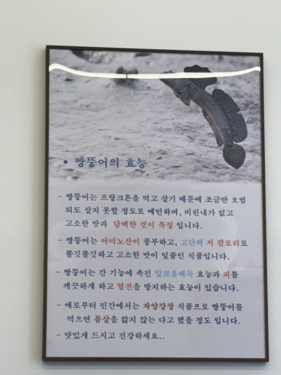 남도짱뚱어 사진 3