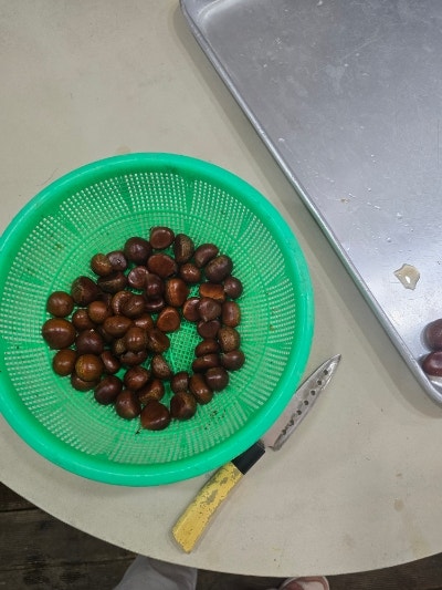 샘터가든 사진 4