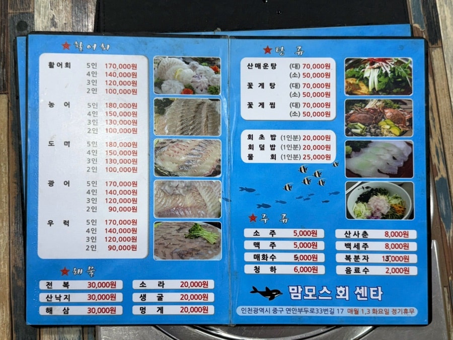 맘모스회센타 15호 사진 4