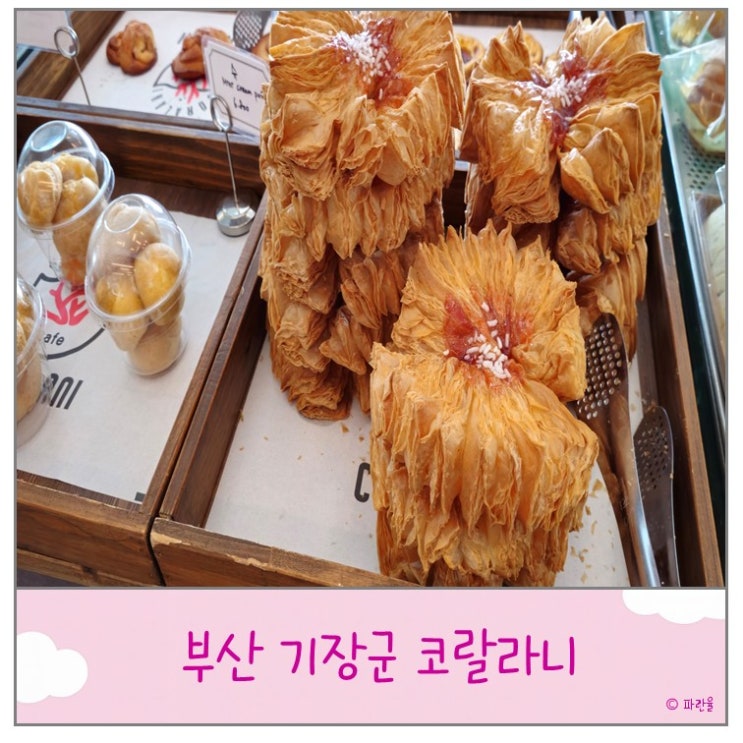  부산 기장 오션뷰 카페 핫플 코랄라니