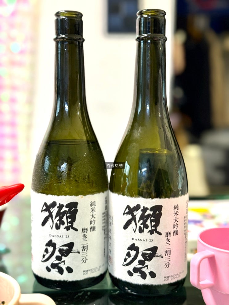 오사카 닷사이 구매 가격 쇼핑 빅카메라 면세 후기