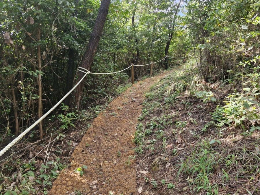 봉황산 사진 5