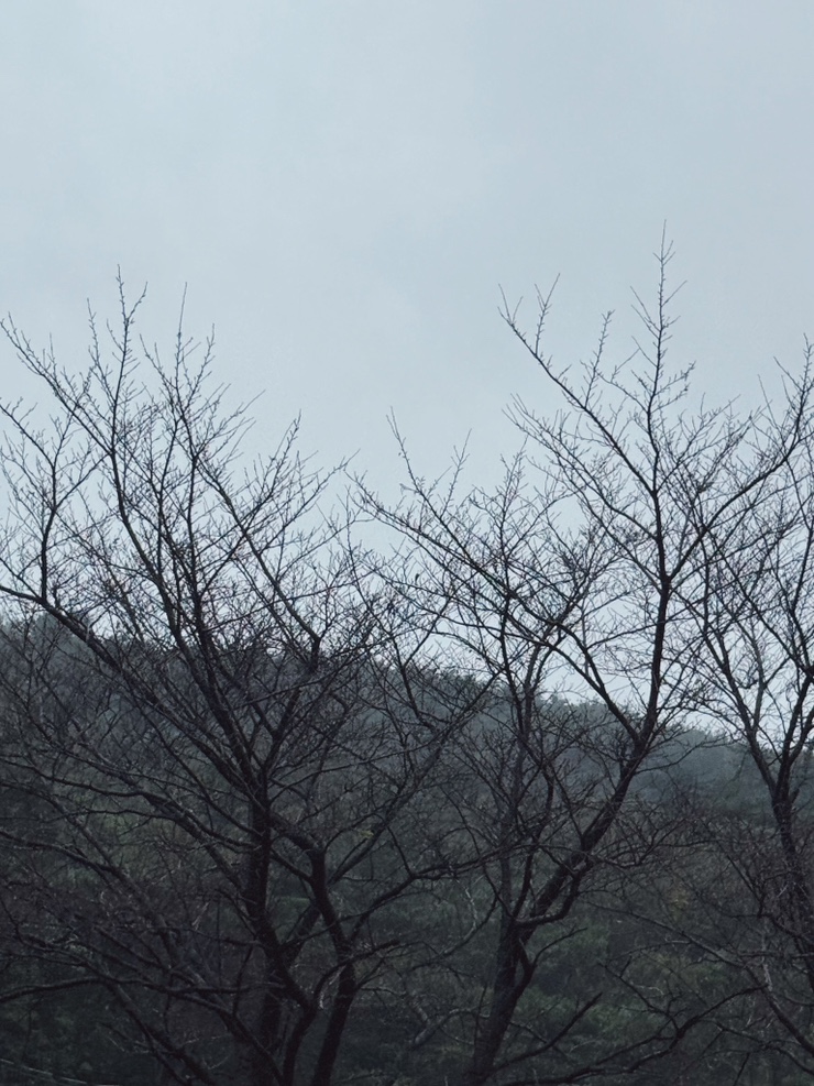  추석 연휴 명절 당일 블챌 끄적끄적