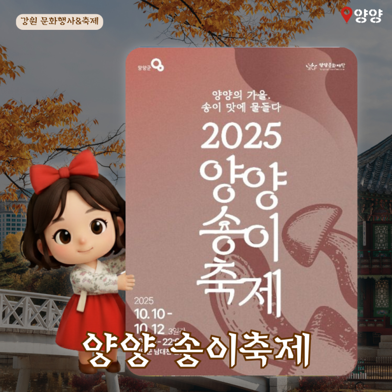 양양 송이축제 2025 일정표 가격 기간 라인업 10월 불꽃쇼