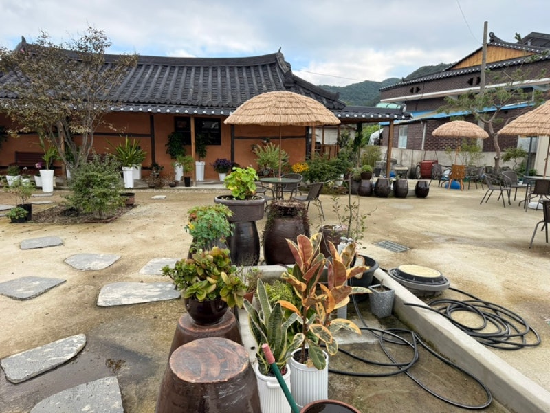 사진 6