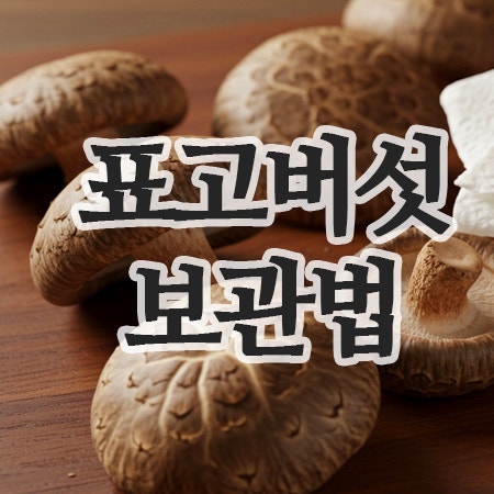  표고버섯보관법 – 손질부터 냉동, 냉장보관까지