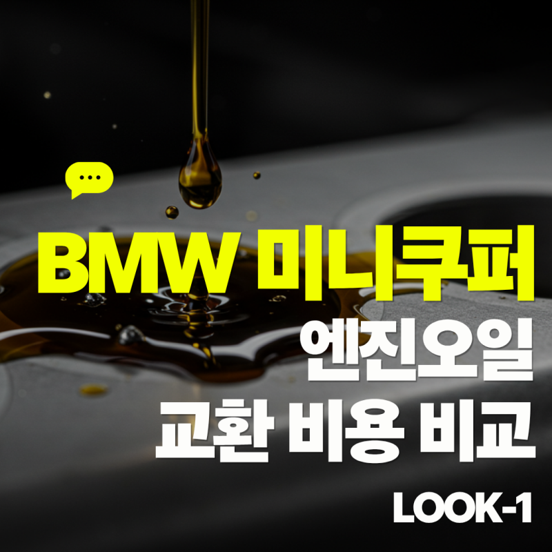 미니 쿠퍼 엔진오일 교환 비용, 25만원 vs 5.4만원? BMW 공식 vs 마이클 앱 차이