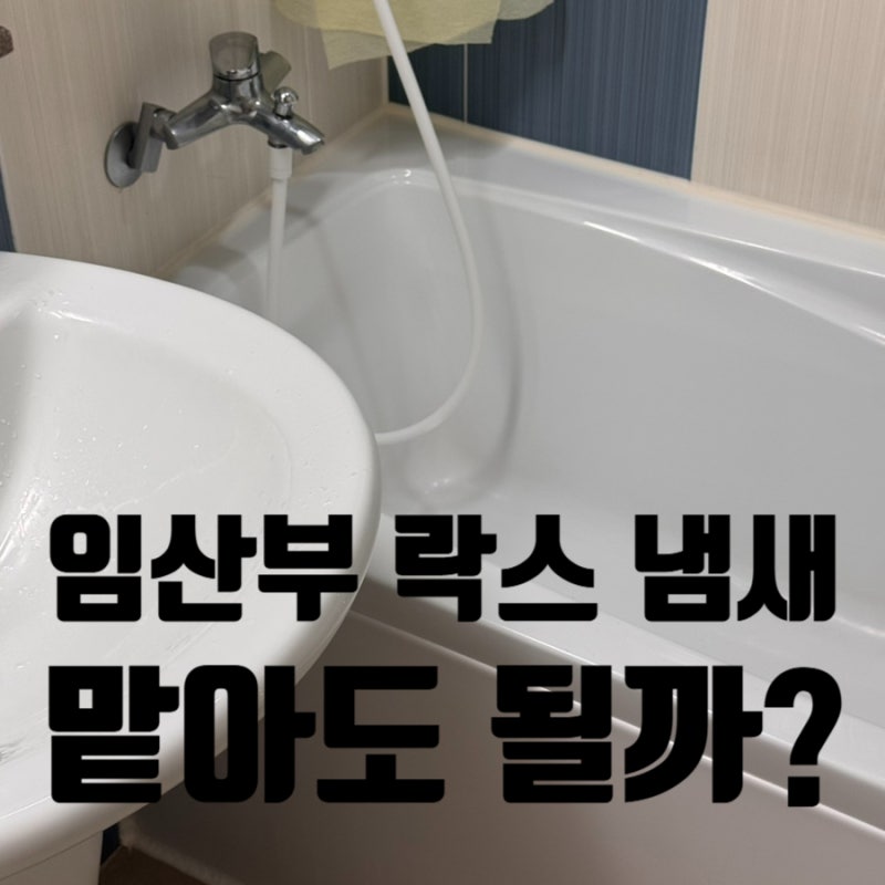 임산부 락스 냄새 화장실 청소 해도 될까?