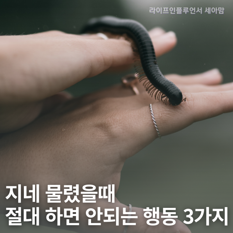  지네물림 이렇게 대처하세요! 물렸을때 절대 하면 안되는 행동 3가지