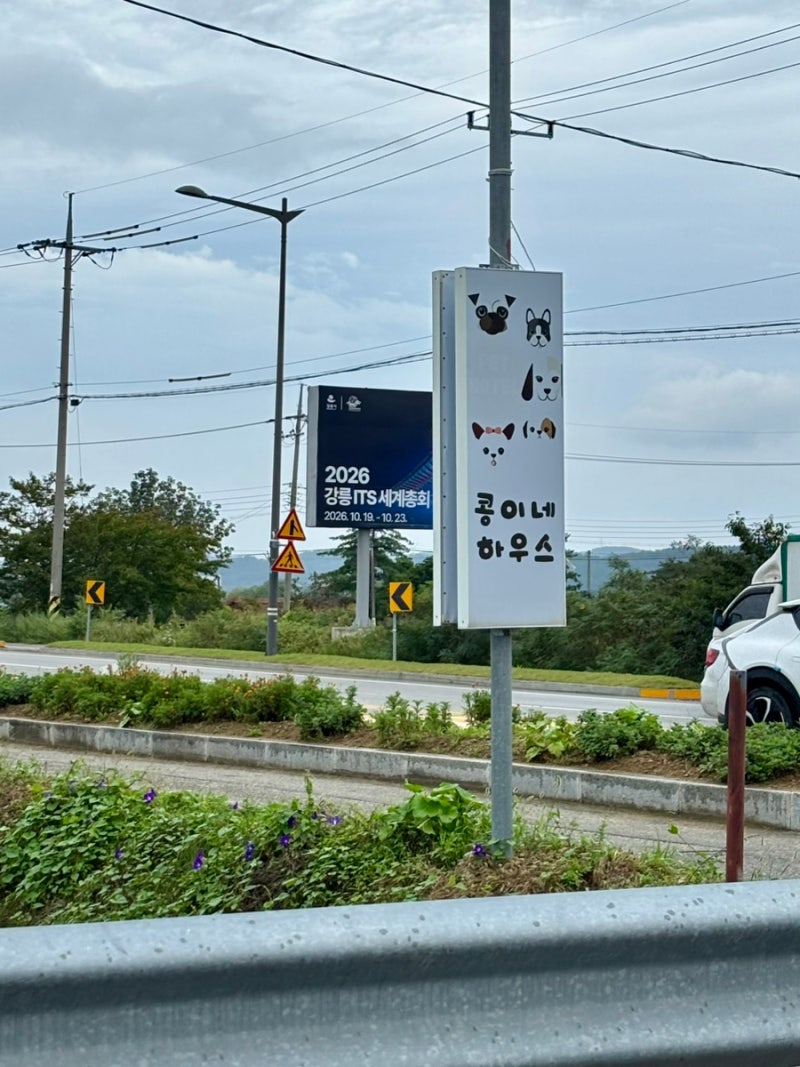 콩이네하우스