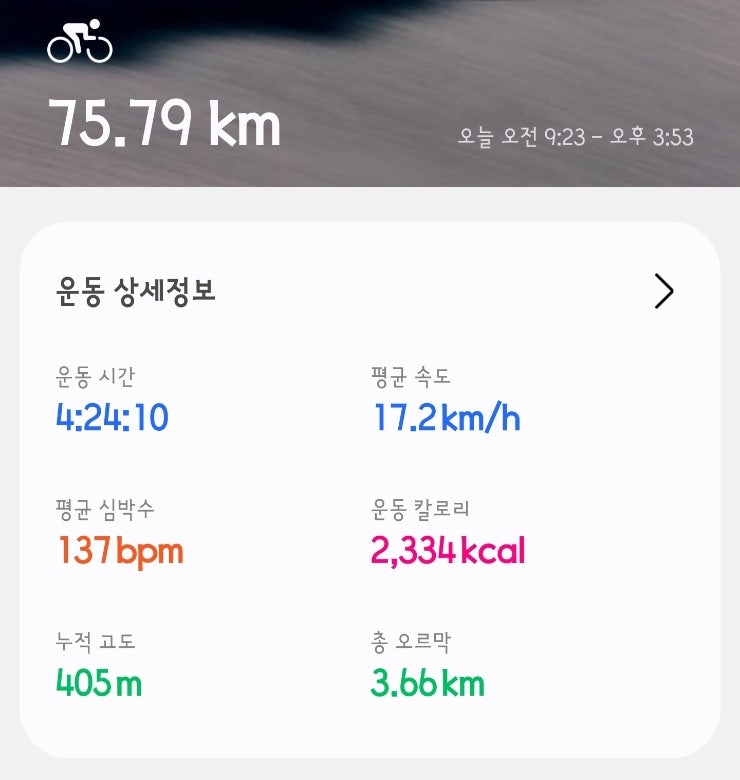 사진 9