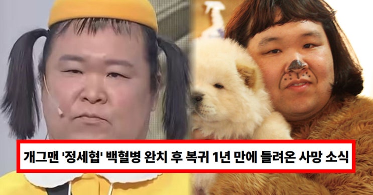 개그맨 '<b>정세협</b>' <b>사망</b> 원인... 들려온 안타까운 <b>비보</b> 소식 (+나이)