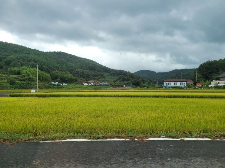  경주 가볼만한 곳 추천, 한국의 역사가 살아 숨 쉬는 도시