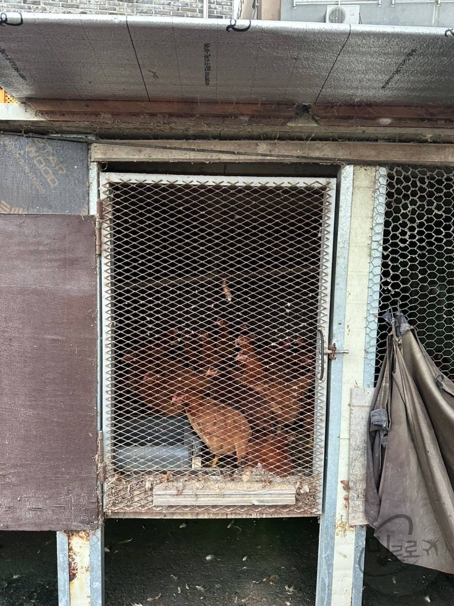 청솔골 사진 4