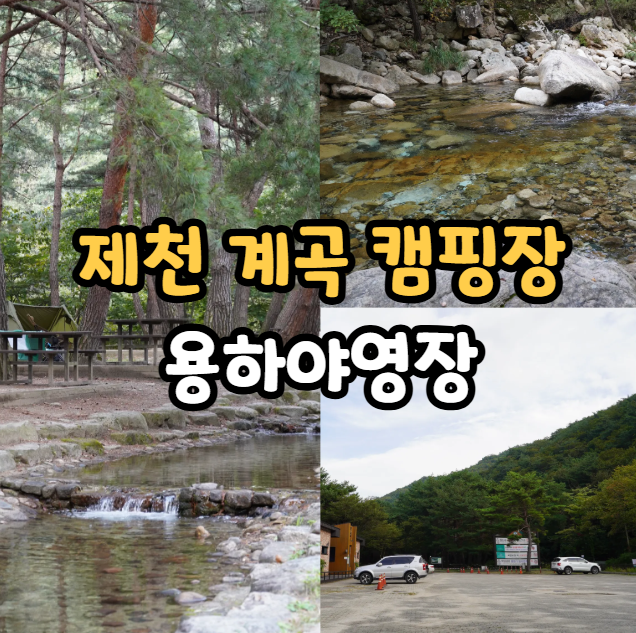  제천 계곡 캠핑장 추천, 월악산 용하야영장 명당 예약 방법 리뷰