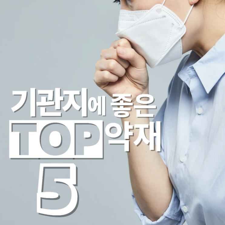  환절기에 필요한 기관지에 좋은 약재 TOP5