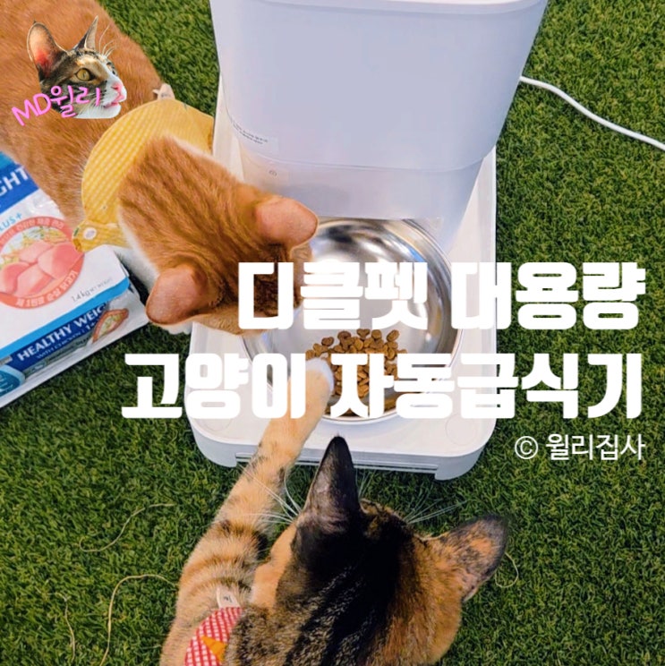  고양이자동급식기 디클펫 AT 330 강아지 겸용 사료급식기 추천