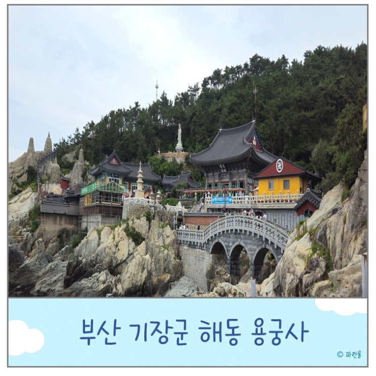  부산 기장 해동 용궁사 시간 주차 입장료 바닷가 유명 절 사찰 투어