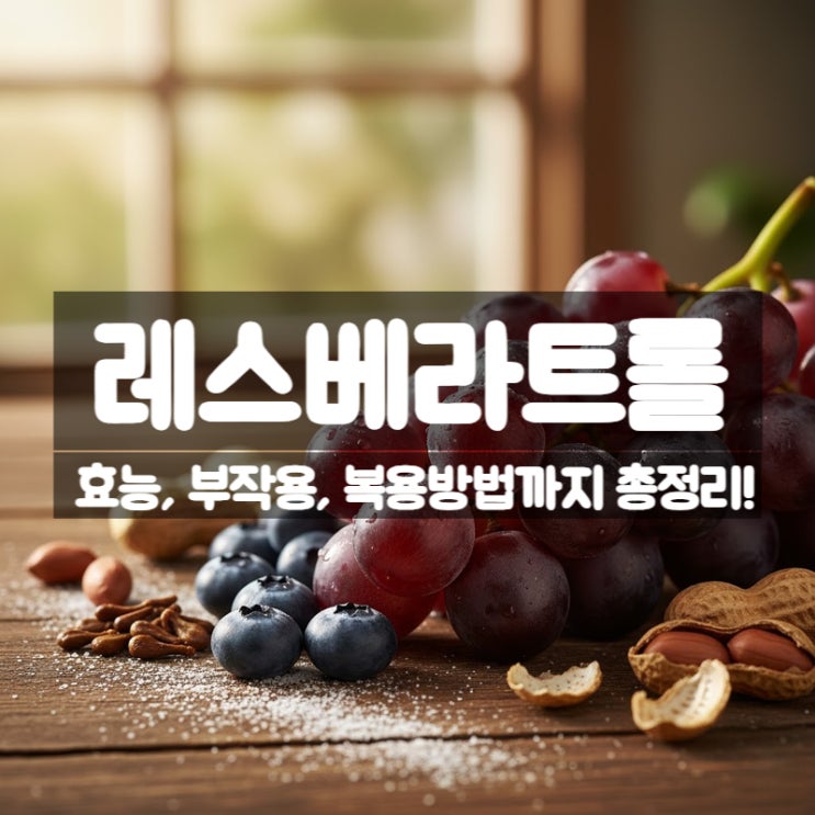  레스베라트롤 효능 부작용 복용법 – 노화방지 장수유전자 활성의 비밀