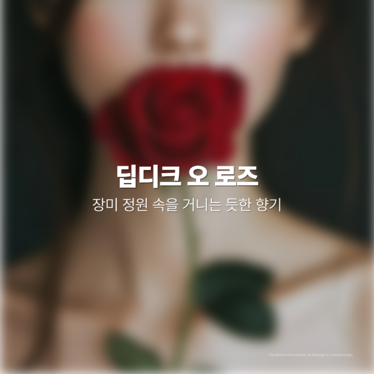  딥디크 향수 오 로즈 분석
