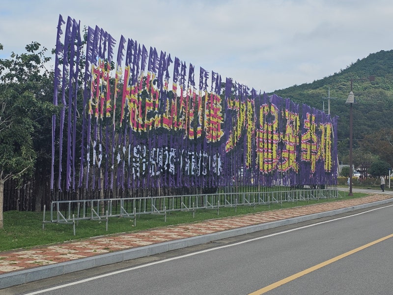 화순 고인돌 공원 가을꽃 축제