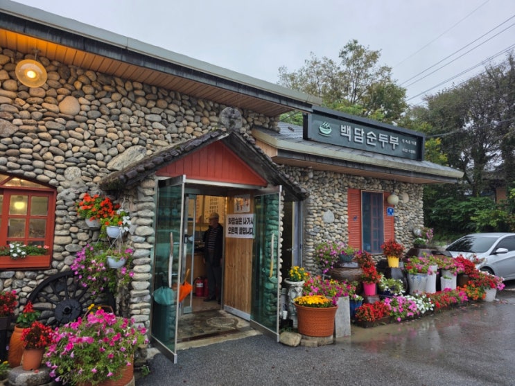  순두부와 황태구이 더덕구이 인제 가을꽃축제 용대리 맛집, 백담사입구 백담순두부