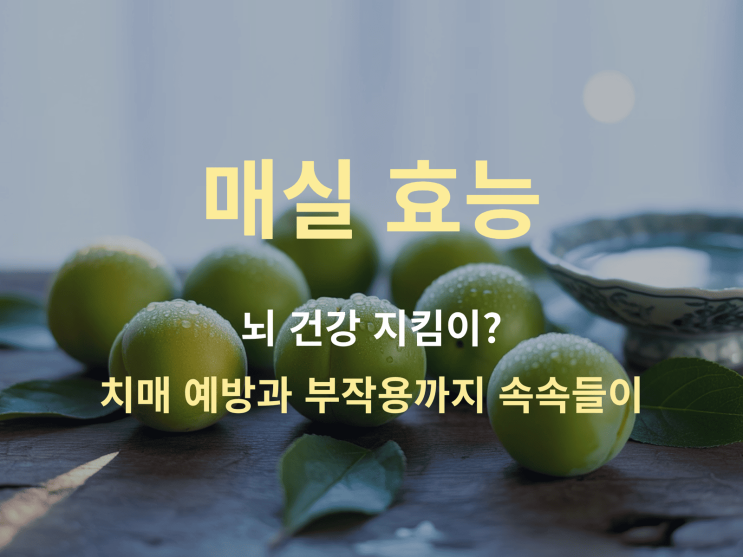  매실 효능, 뇌 건강 지킴이? 치매 예방과 부작용까지 속속들이