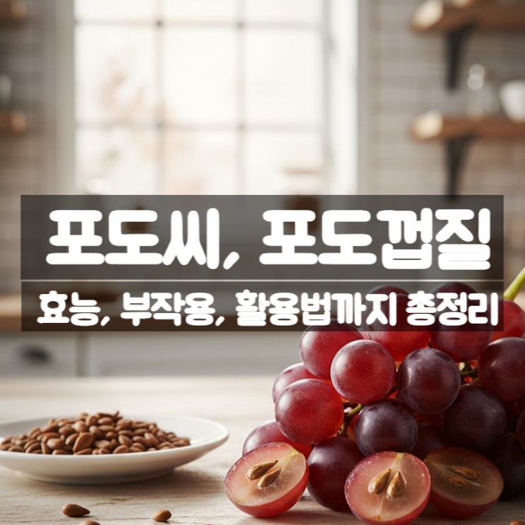  포도씨 포도껍질 효능 부작용 활용법 – 와인보다 강한 항산화 노화방지