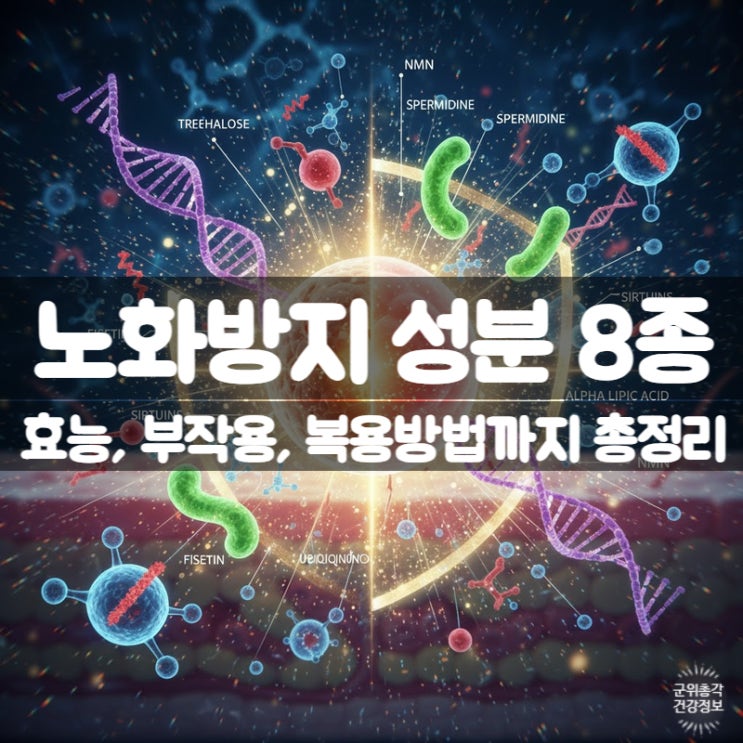  노화방지 항산화 성분 8가지 효능 총정리 – 세포의 시계를 되돌리는 젊음의 설계도