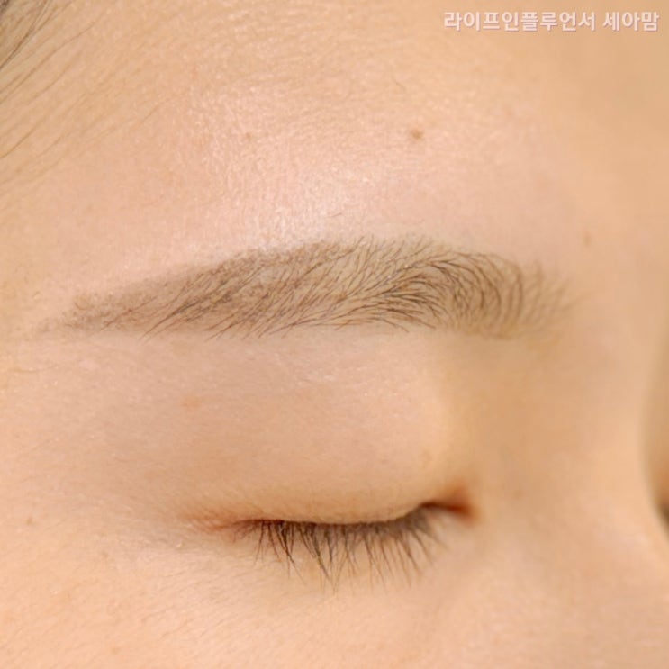  일산눈썹왁싱 모나리자 눈썹 인중 왁싱 후기