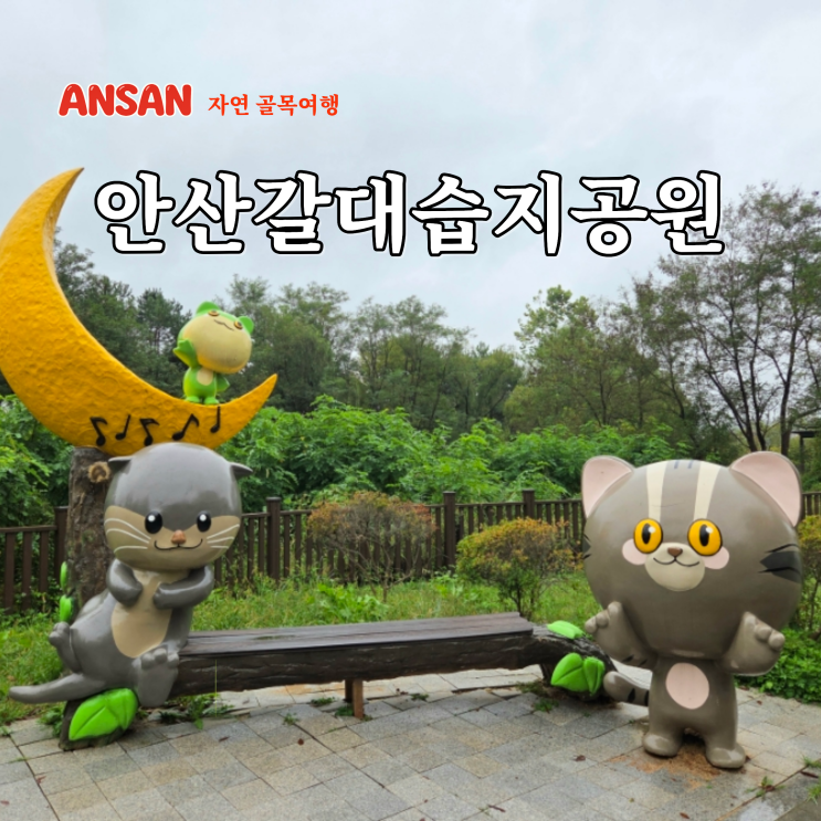  경기도 비올때 갈만한곳 놀러 아이랑 안산갈대습지공원 주차장 정보
