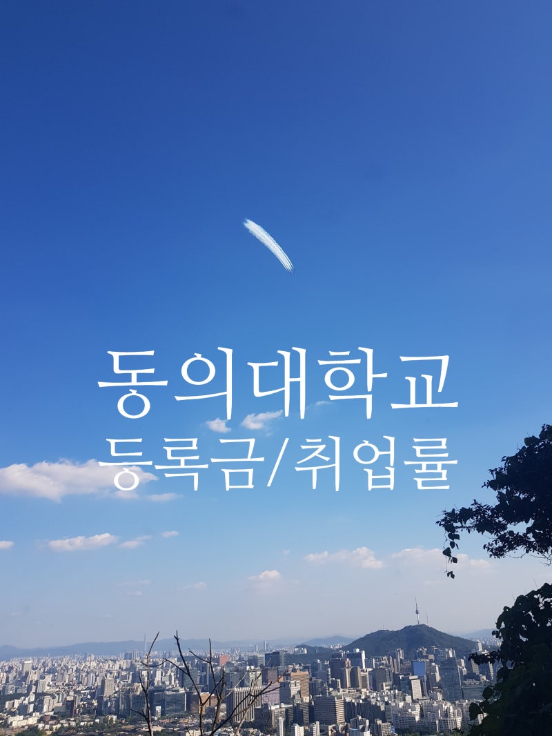 2025. 동의대학교, 동의대, 등록금 순위, 장학금, 취업률, 신입생 경쟁률 순위 현황 !!!