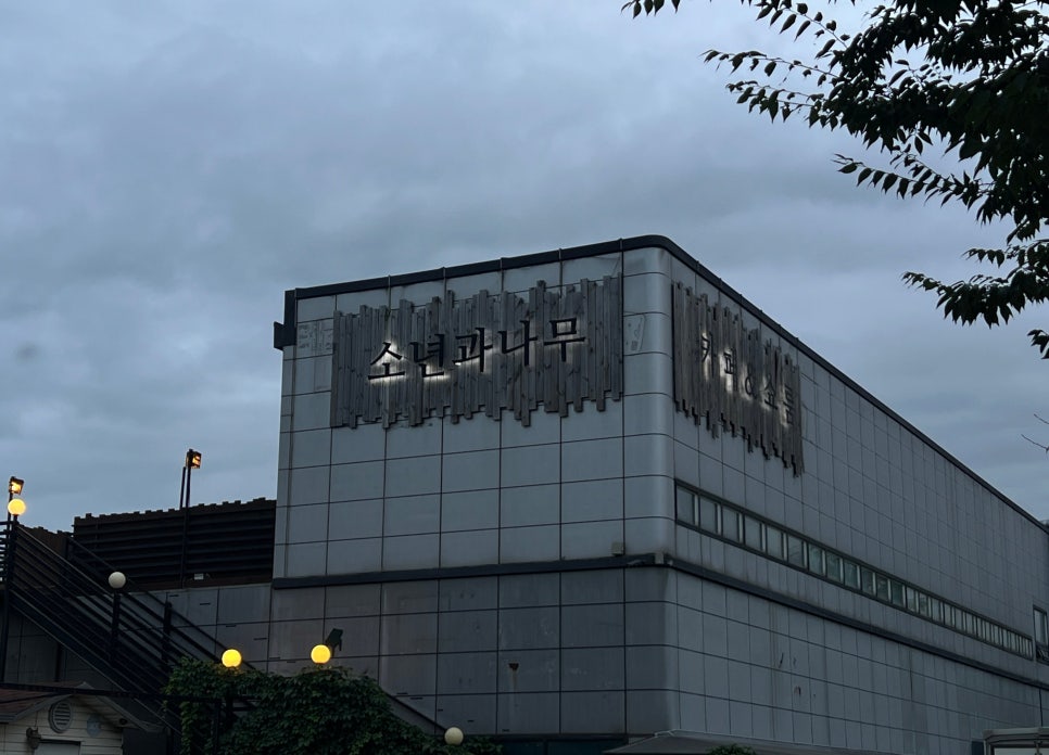 카페나무 사진 1