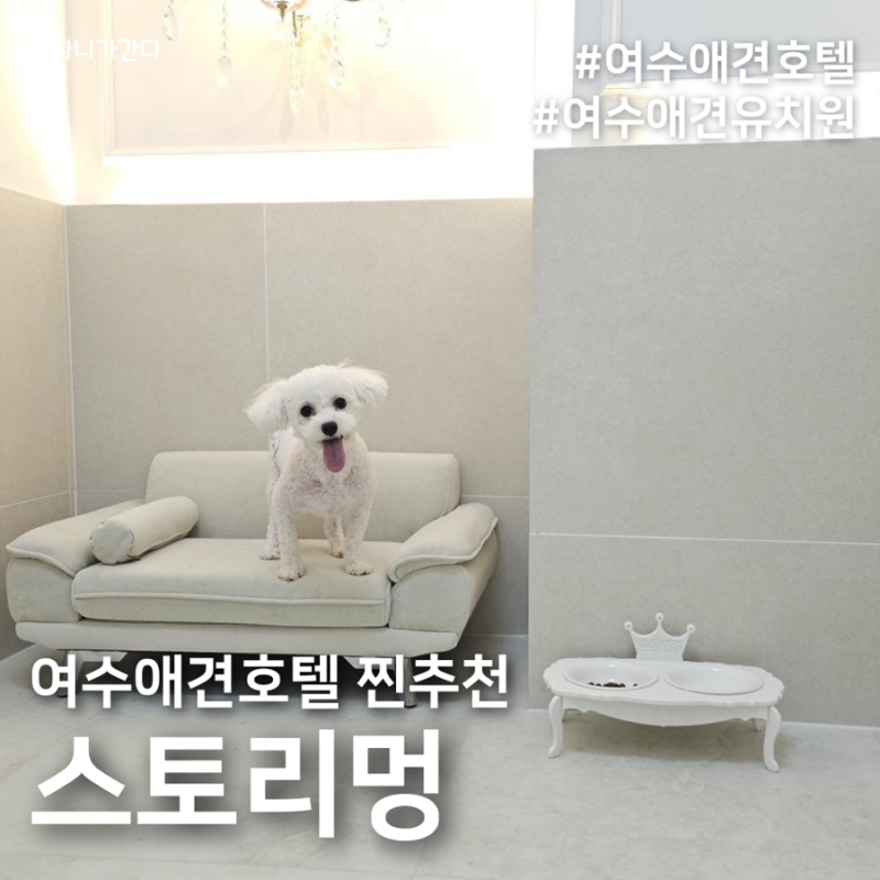 스토리멍 여수애견호텔 애견유치원