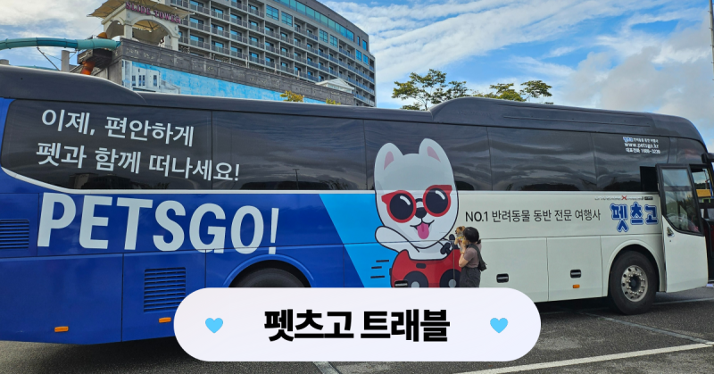사진 5