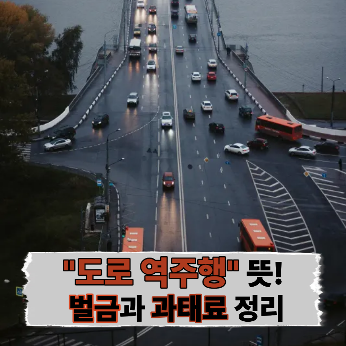  실수로 도로 역주행했다가 과태료 폭탄?! 벌금 뜻과 금액까지 총정리