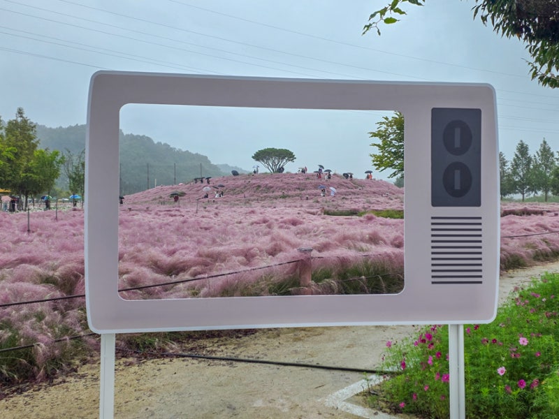 사진 10