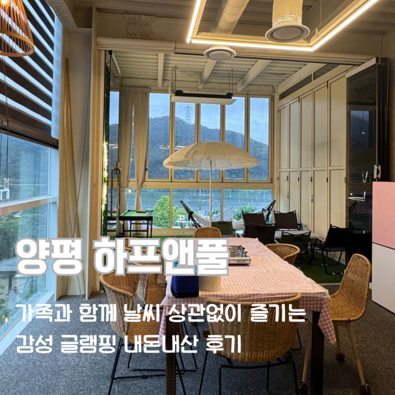 사진 5